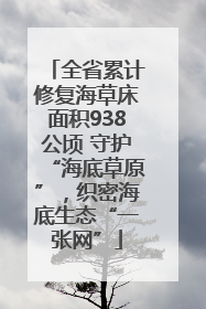 全省累计修复海草床面积938公顷 守护“海底草原”，织密海底生态“一张网”
